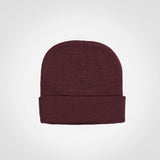 CAPTIVITY - Kids Aspen Beanie