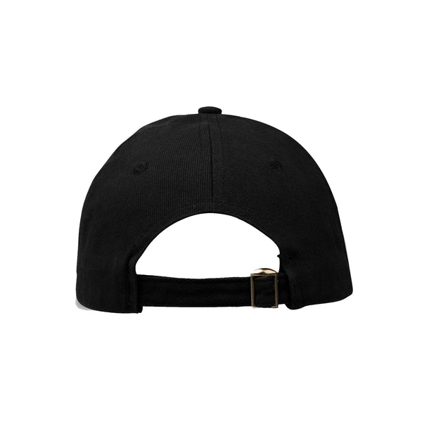 CAPTIVITY - Classic 6 Panel Cap