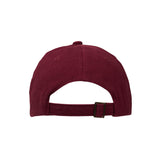 CAPTIVITY - Classic 6 Panel Cap