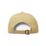 CAPTIVITY - Classic 6 Panel Cap