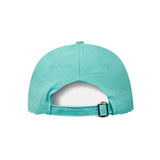 CAPTIVITY - Classic 6 Panel Cap