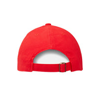 CAPTIVITY - Classic 6 Panel Cap